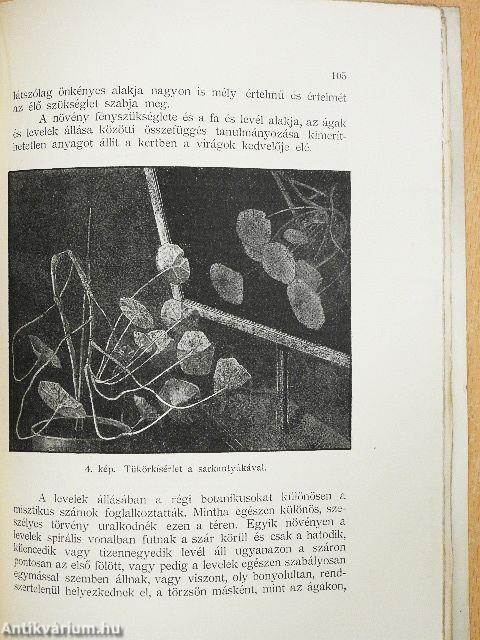 Élet a termőföldben/Kerti séták