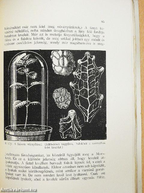 Élet a termőföldben/Kerti séták