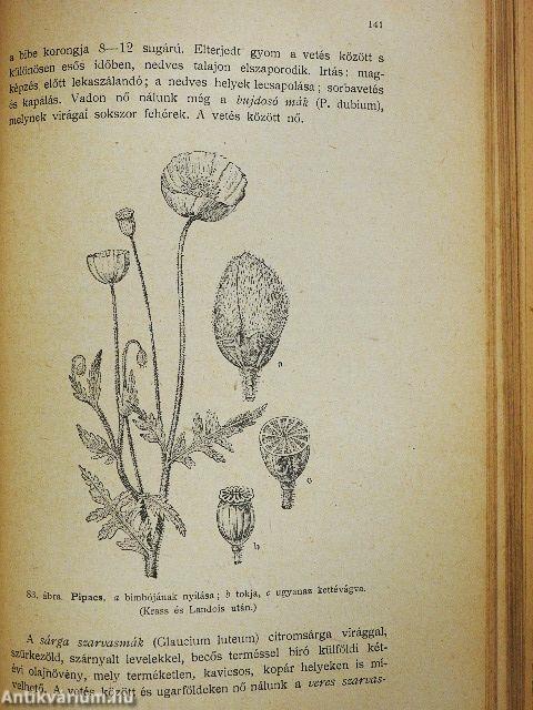 Gazdasági növénytan I-II.