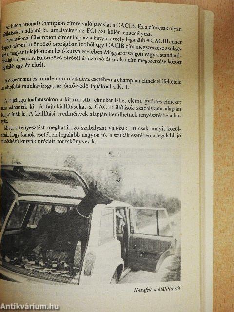 Barátunk a dobermann