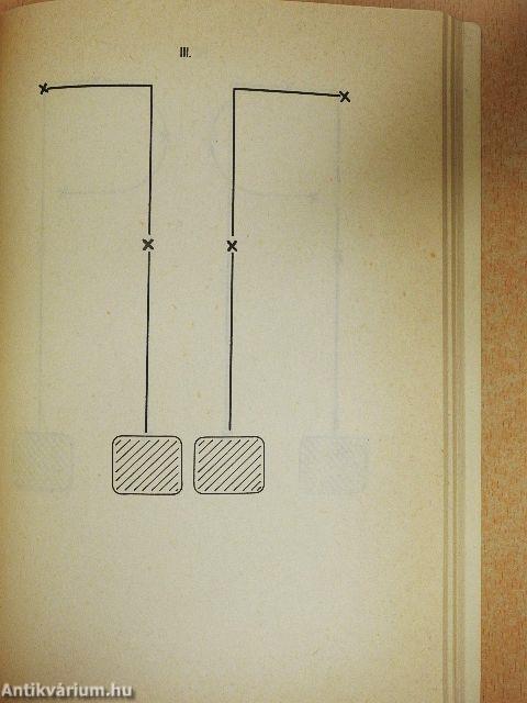 Barátunk a dobermann