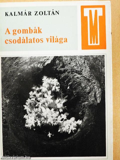 A gombák csodálatos világa