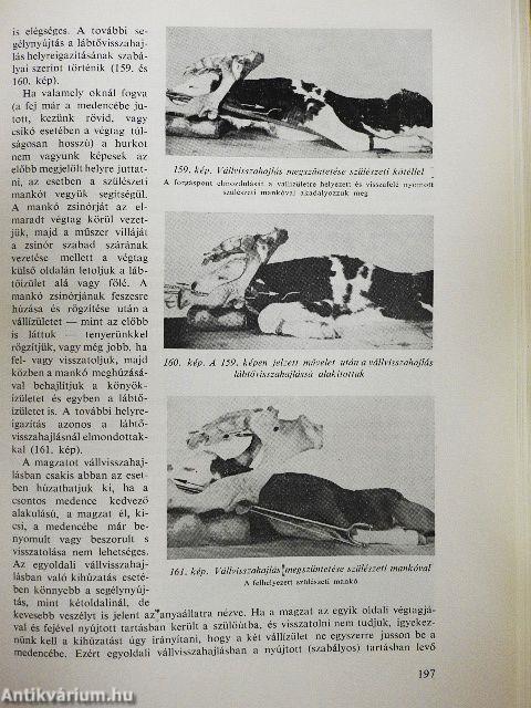 Állatorvosi szülészeti műtéttan