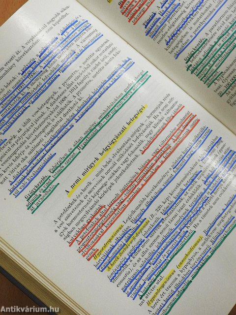 A háziállatok belgyógyászata