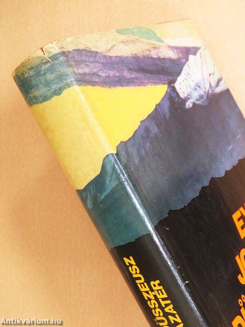 Odüsszeusz hazatér