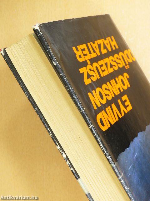 Odüsszeusz hazatér