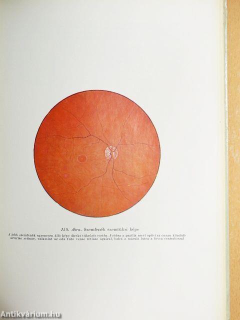 Élettani gyakorlatok és bemutatások