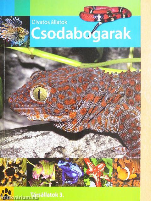 Divatos állatok - Csodabogarak