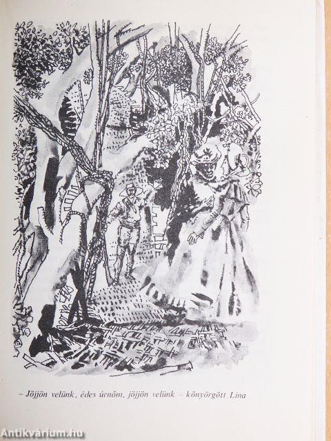 Nyolcszáz mérföld az Amazonason