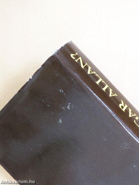 Ki volt Edgar Allan?