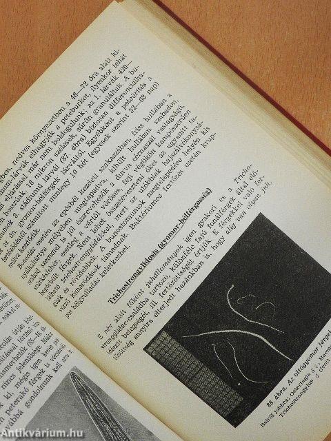 Állatorvosi parazitológiai diagnosztika