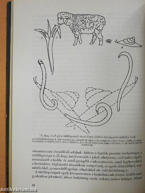 Háziállataink fontosabb parazitás betegségei