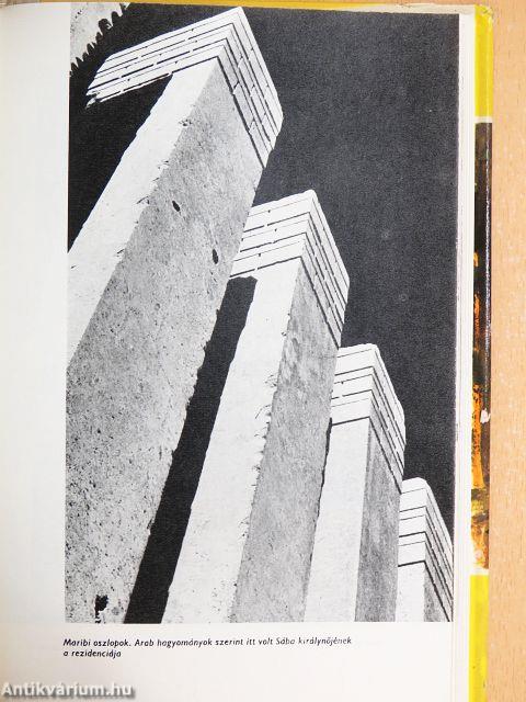 Háremből a nagyvilágba