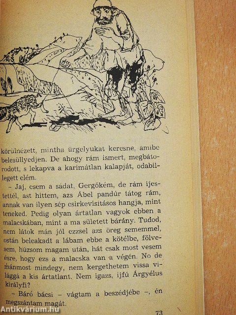 Kincskereső kisködmön