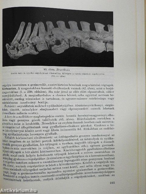 A háziállatok fertőző betegségei