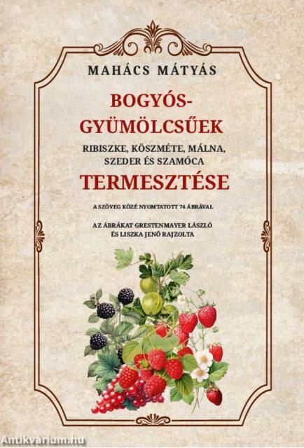 Bogyós gyümölcsűek ribiszke, köszméte, málna, szeder és szamóca termesztése