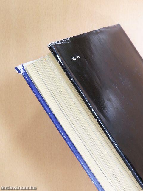 Világvárosok, nagyvárosok