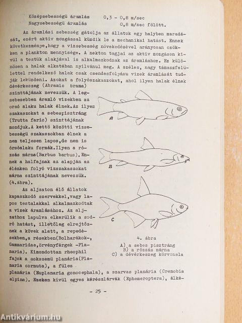 Az állatökológia alapjai