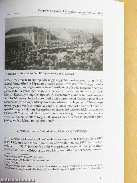 A vidéki Magyarország kisipara és kiskereskedelme az 1910-es években