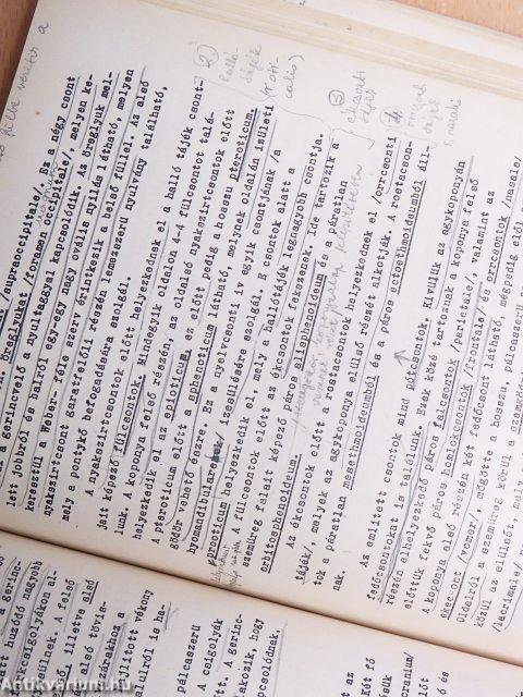 Összehasonlító állatszervezettani gyakorlatok