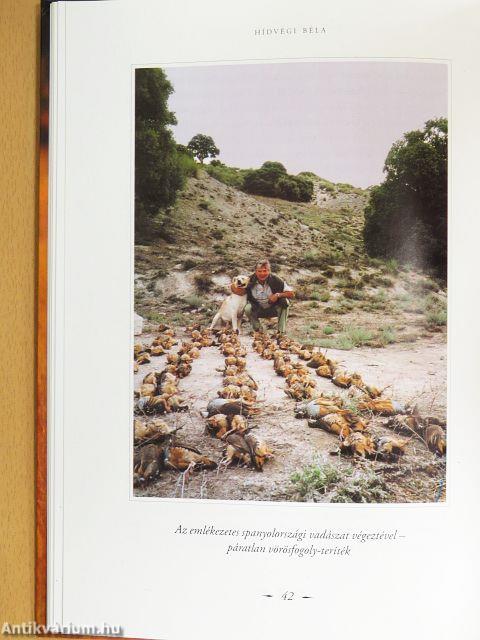 Vadászálmok birodalmában