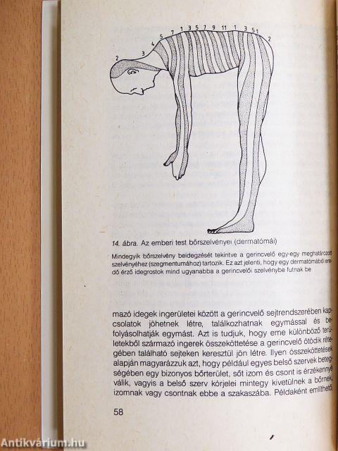Akupunktúra a gyógyításban