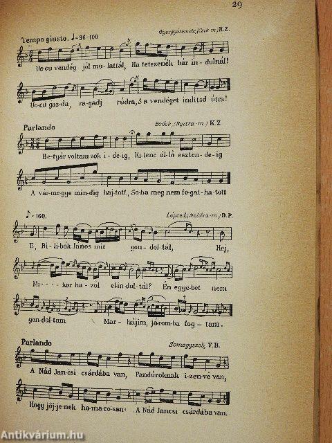 Beszélgetések a népzenéről