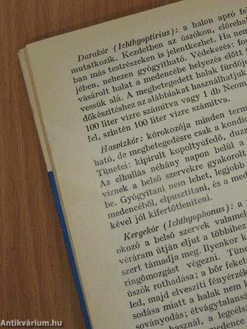 Mit üzen a Tévé Kuckó?