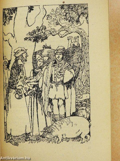 Szépen szálló sólyommadár