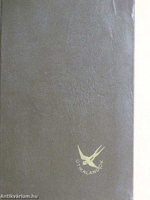 Irokézek és felhőkarcolók