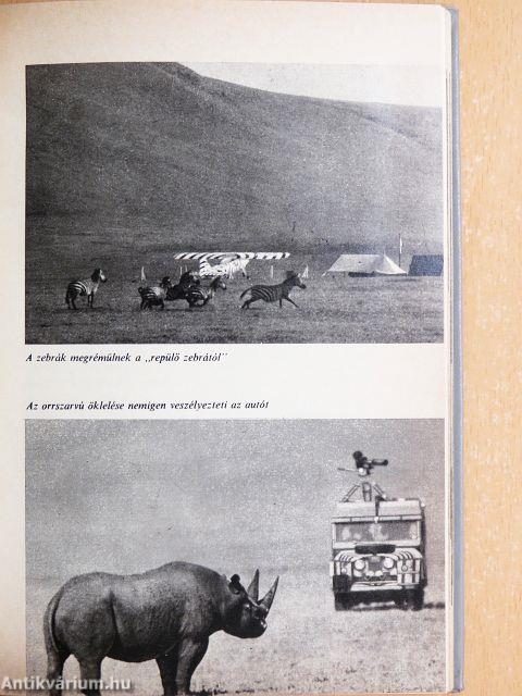 A Serengeti nem halhat meg