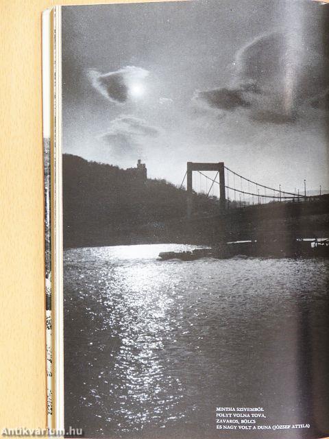 Egy ország a csillagon