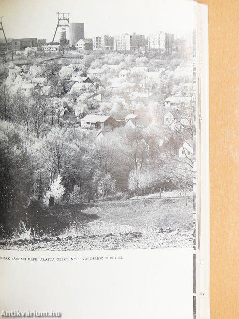 Tisztelet Komlónak!