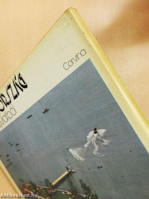 Magyarország madártávlatból