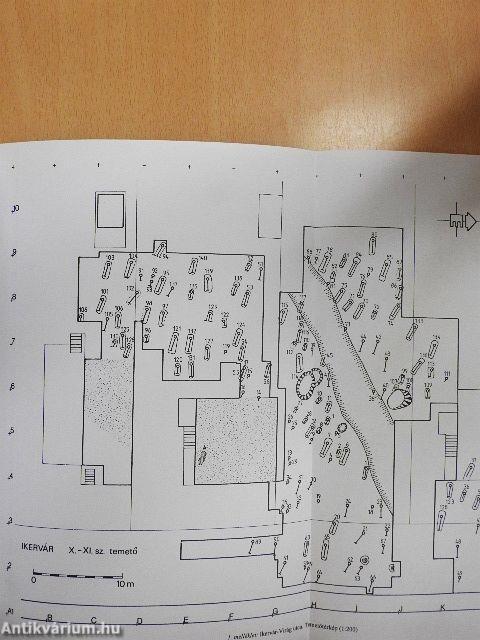 Vas megye 10-12. századi sír- és kincsleletei