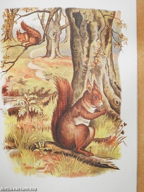 Madarak és fák napja