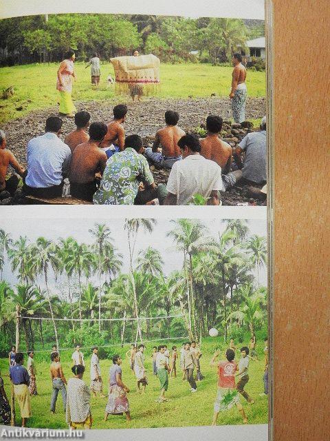 A kenyérfák árnyékában