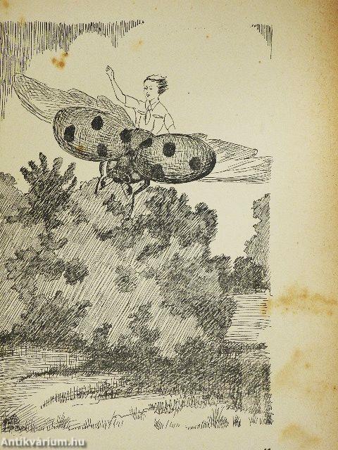 Hangya Pali kalandjai