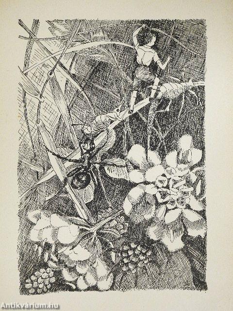 Hangya Pali kalandjai