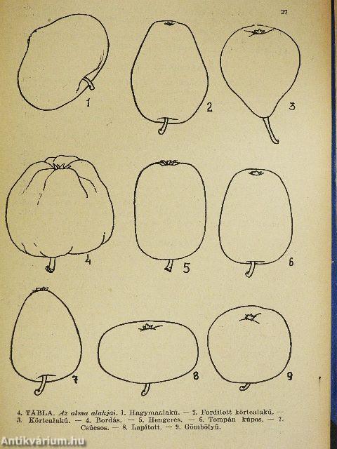 A gyümölcstermesztés kézikönyve
