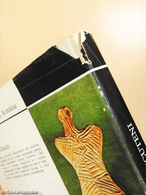 Arta Culturii Cucuteni