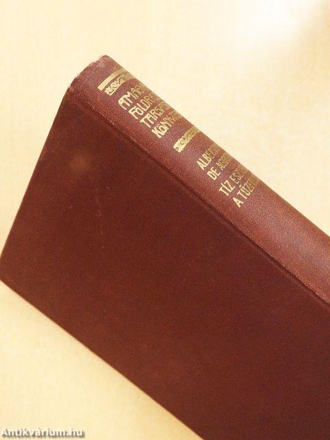 Tíz esztendő a Tűzföldön