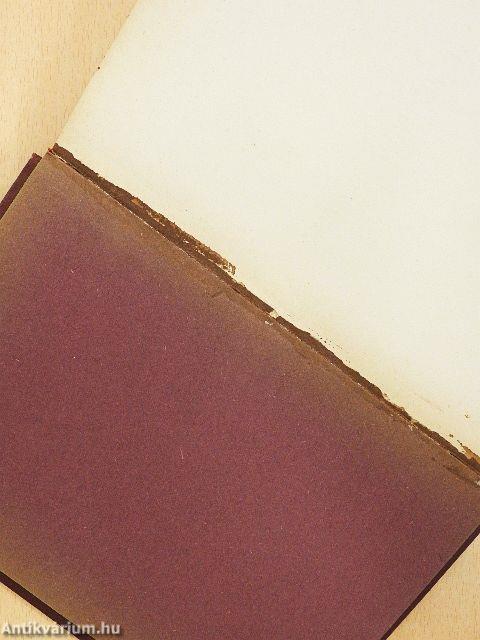 Tíz esztendő a Tűzföldön