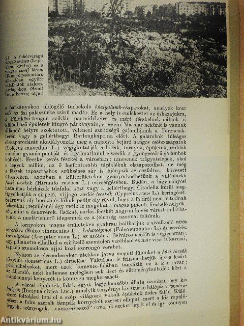 Budapest természetvilága