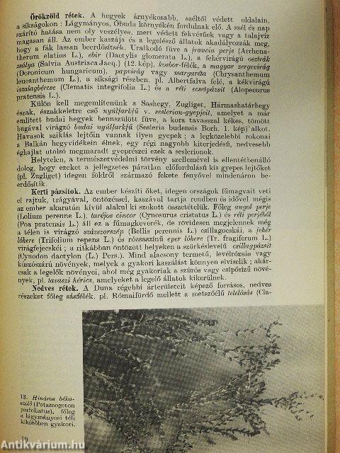 Budapest természetvilága