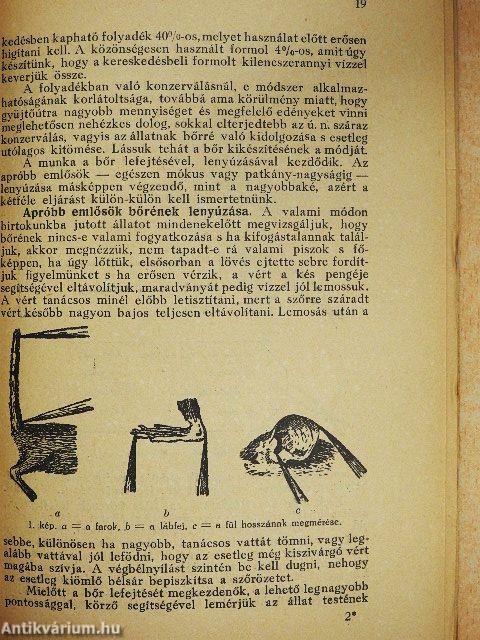 Kirándulók zsebkönyve II/1.