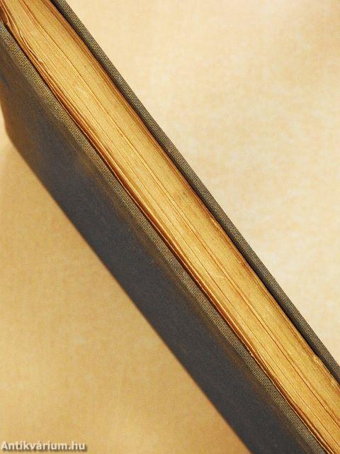 A sportrepülő könyve