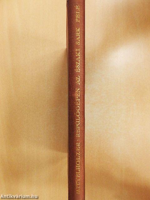 Repülőgépen az Északi sark felé