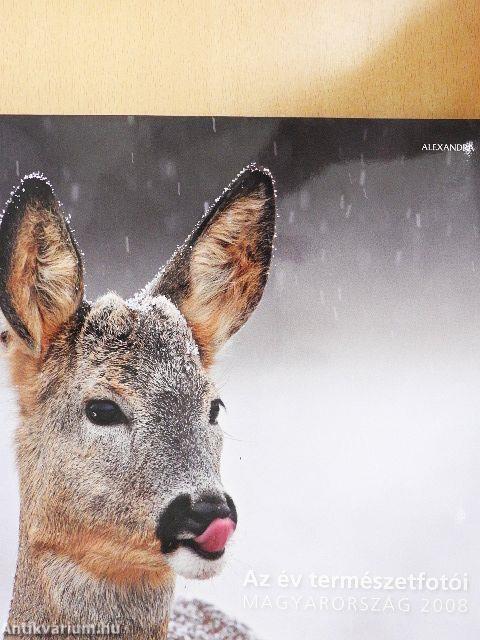 Az év természetfotói Magyarország 2008