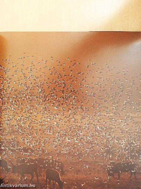 Az év természetfotói Magyarország 2008